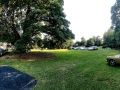 20230819_181045-small