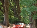 DSC_5813-small