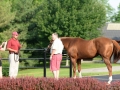 Group Tour 13 California Chrome with Member