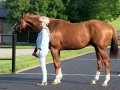 Group Tour 14 California Chrome with Member