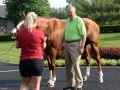 Group Tour 25 California Chrome with Member