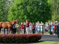 2017-Taylor-Made-Farm-tour-Group-Tour-12-California-Chrome